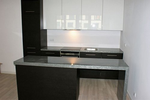 Кухня линейная Шервуд