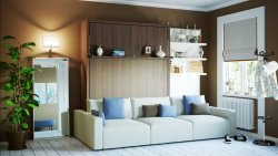 Шкаф-кровать двуспальная с диваном  40