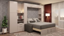 Шкаф-кровать вертикальная  38