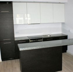 Кухня линейная Шервуд