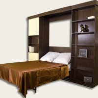 Шкаф-кровать с диваном  46